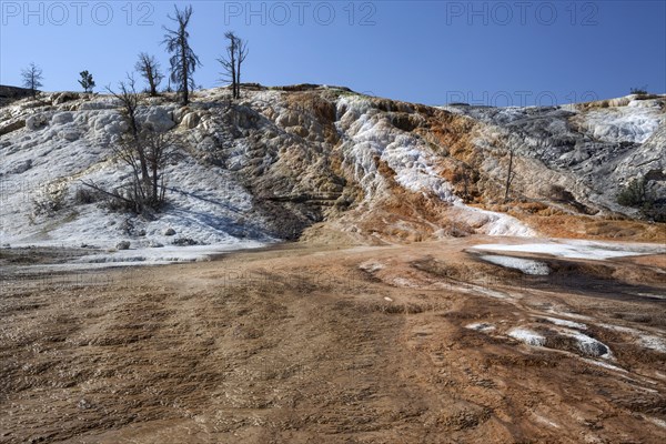 Travertine terraces