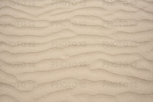 Sand with wave-like structure