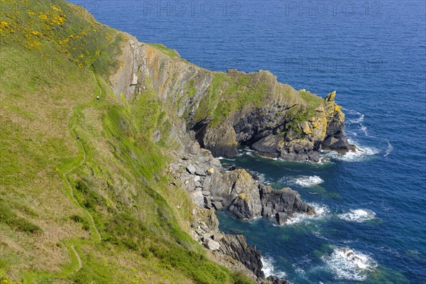 Coast Path