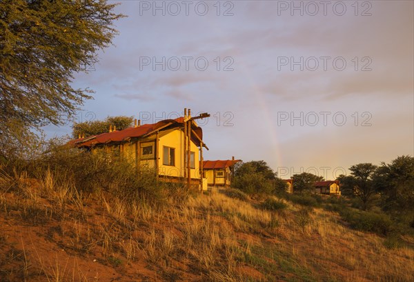 Stilt canvas tents of the Kalahari Tented Camp at ridge of sand dune
