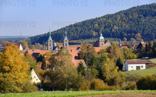 View of the town of Spalt