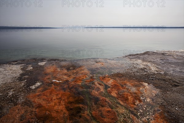 Mineral deposits in the West Thumb Geyser Basin