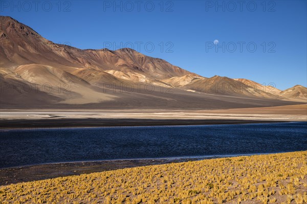 Andean Plain