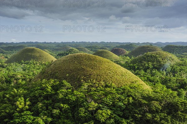 Chocolate Hills