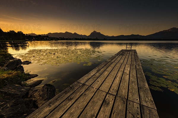 Dock at lake with water lilies