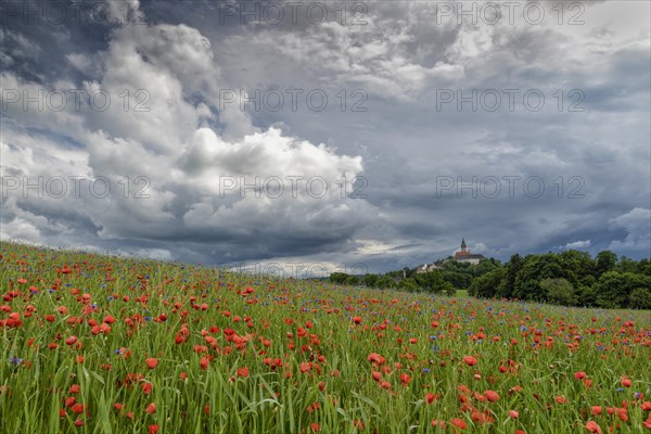 Thunderstorm over monastery Andechs with poppy field and cornflowers