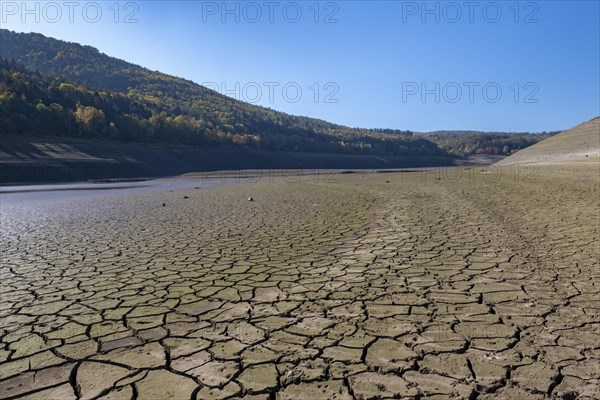 Dry cracks in the soil