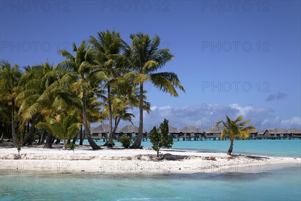 Small peninsula with coconut palms in the turquoise sea