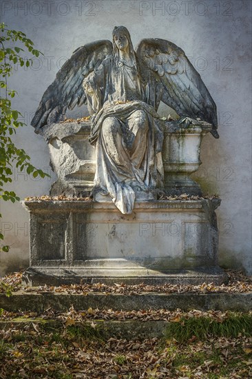 Unknown expired grave with angel