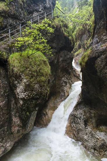 Gorge with stream