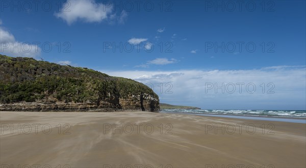Beach Waipati Beach