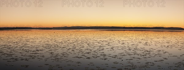 Nature reserve Federsee lake at sunrise