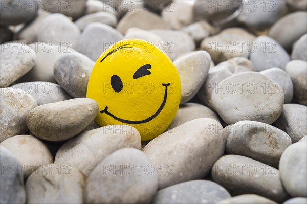 Smiley face made of stone