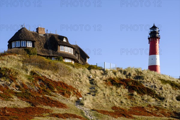 Typical Frisian house with thatched roof and lighthouse in the dunes of Hornum