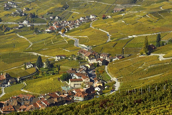 Vineyards in autumn with view of winemaking villages Epesses and Riex