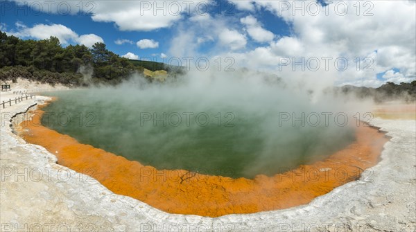 Champagne Pool