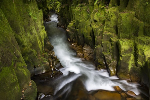 River running through Te Whaiti Nui Toi Canyon