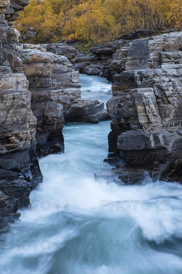 Autumnal Abisko Canyon