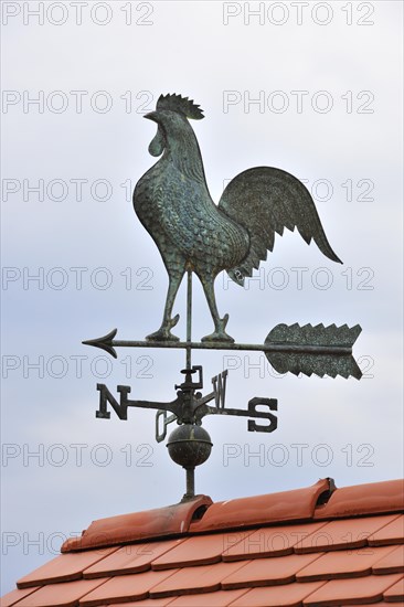 Weathercock with cardinal points on roof