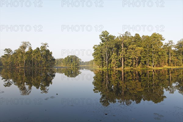 Trees reflected in Twenty Thousand Lake