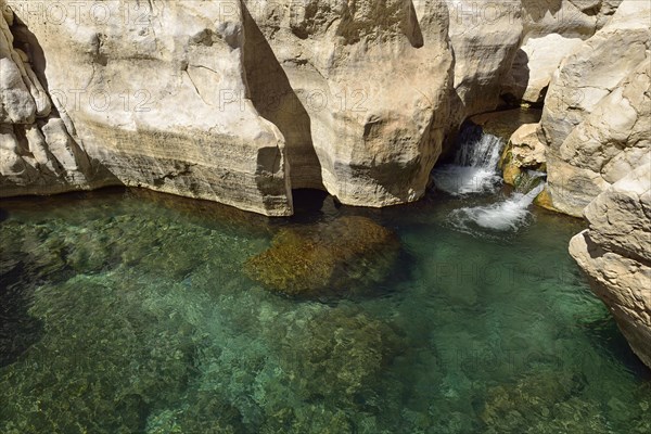 Water pools of oasis Wadi Bani Khalid