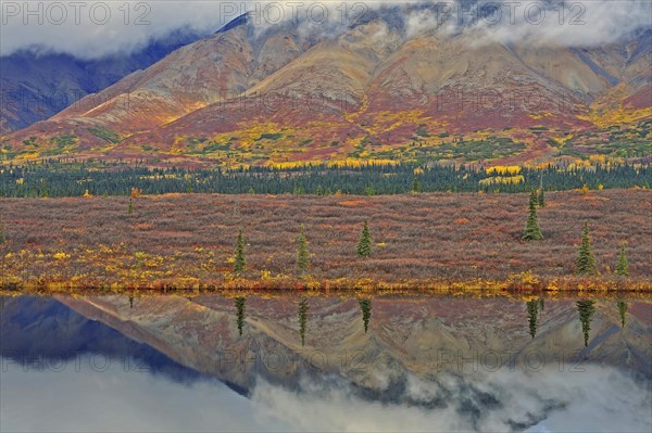 Colorful autumn landscape