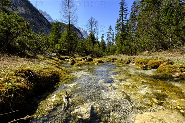 Headwater of the Isar