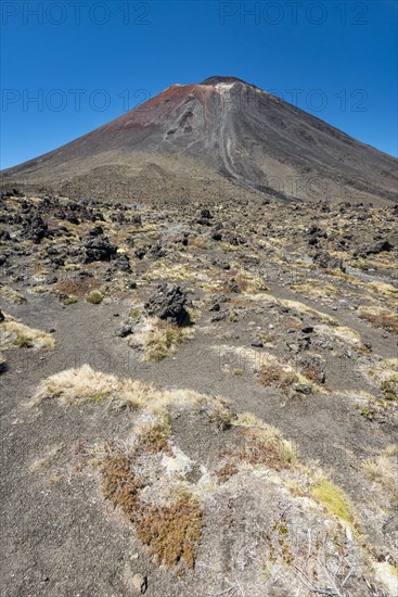 Mount Ngauruhoe