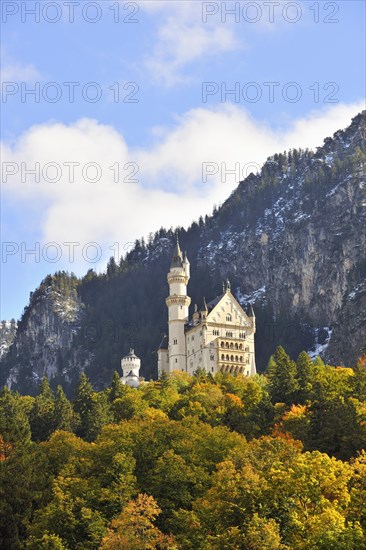 Neuschwanstein Castle