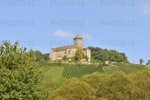 Castle Lichtenberg