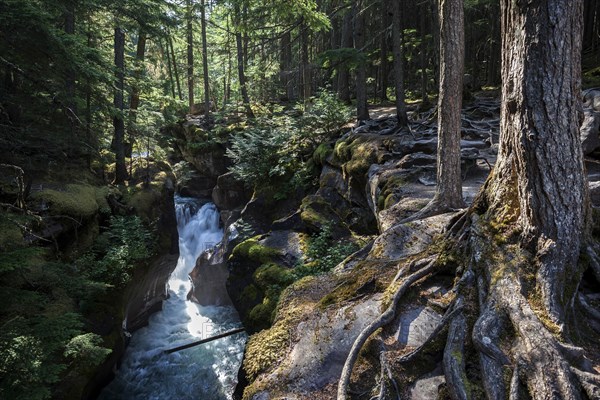 Wild creek