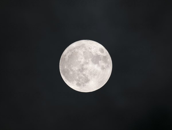 Full moon