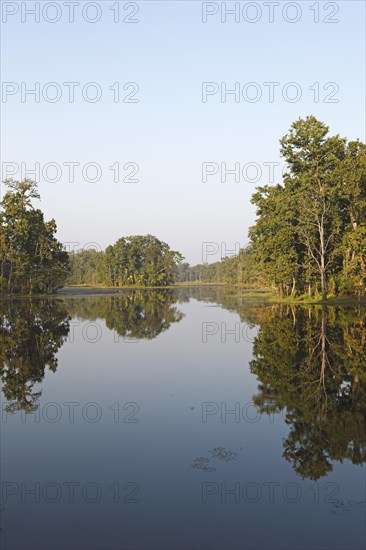 Trees reflected in Twenty Thousand Lake