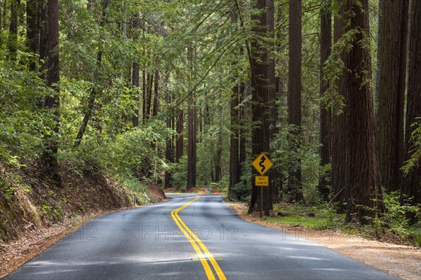 Curvy road