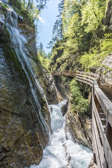 Boardwalk along Wimbach stream