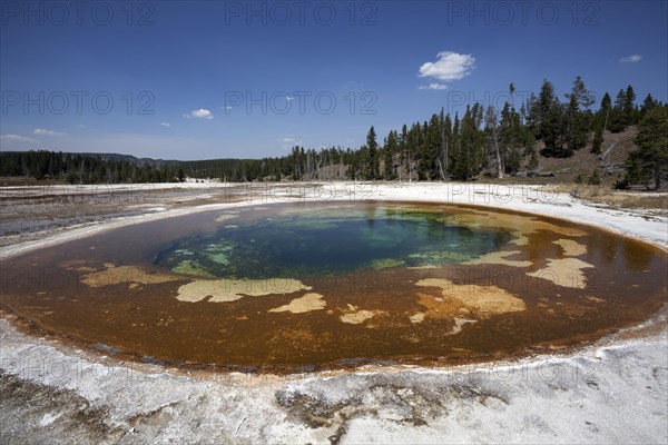 Beauty Pool