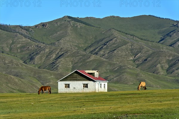 Lonely house in the Orchon Valley