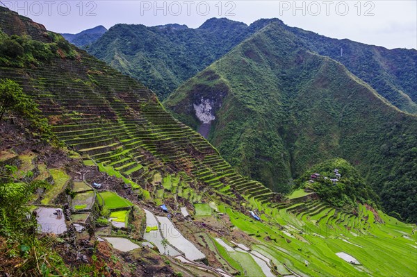 Batad rice terraces