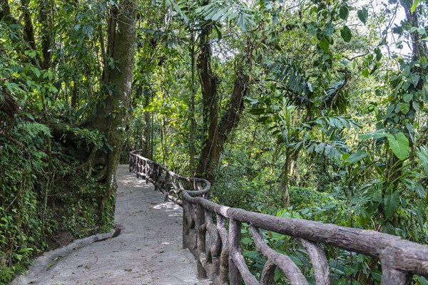 Hiking Trail