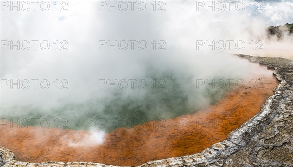 Champagne Pool