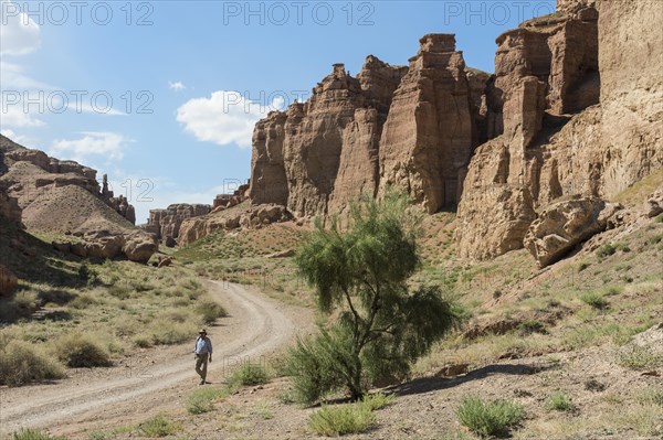 Man walking on the road