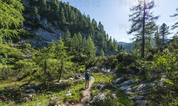 Hiker on footpath to the Karlingerhaus