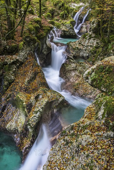 Autumnal Lepenjica River