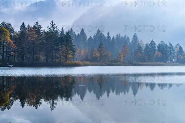 Morning fog in autumn at Lake Schwansee