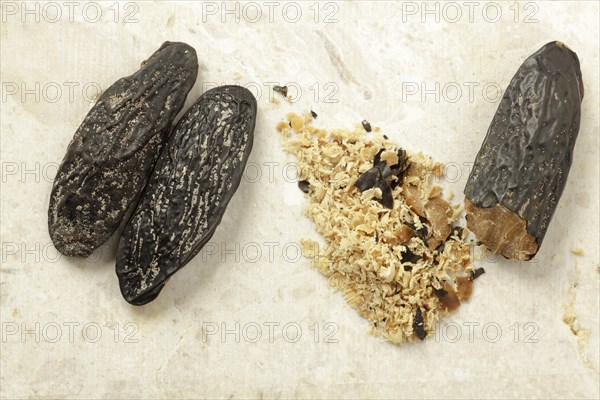 Tonka beans