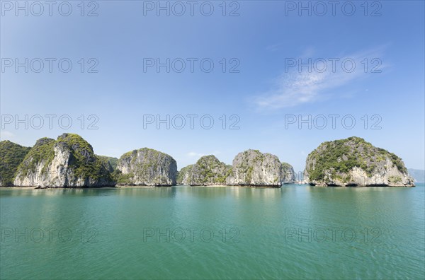 Overgrown limestone karst formations