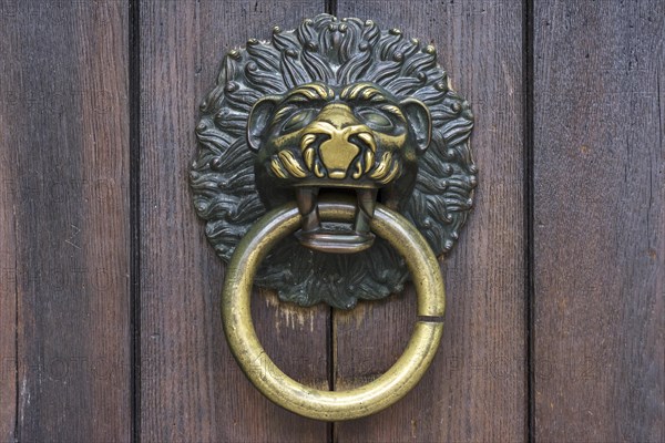 Lowenkopf as door knocker at Schottenkirche St. Jakob