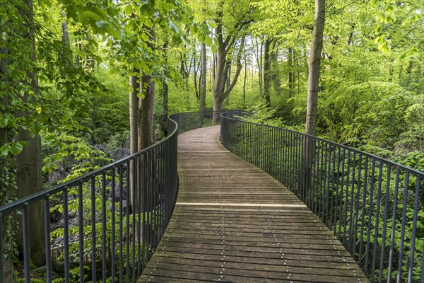 Pedestrian walkway