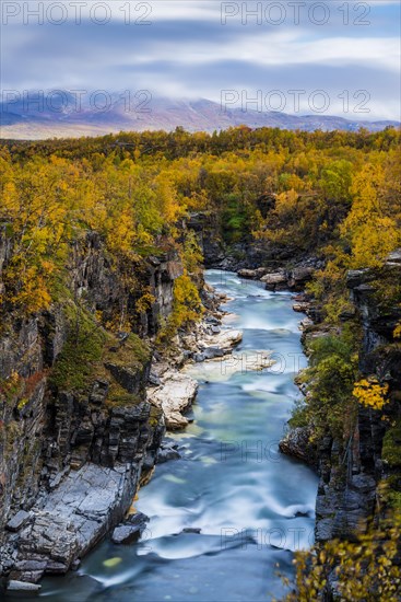 Autumnal Abisko Canyon