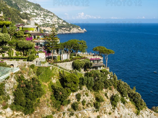 Steep coast with southern vegetation